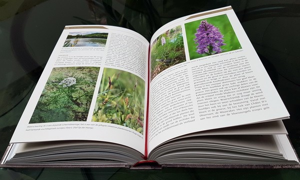 Click image for larger version

Name:	Natuurlijk Maastricht 2.jpg
Views:	177
Size:	71,8 KB
ID:	102876