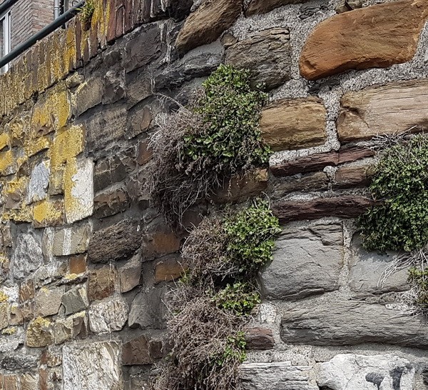 Click image for larger version

Name:	boe.jpg
Views:	162
Size:	187,4 KB
ID:	103358