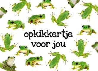 Click image for larger version

Name:	opkikkertje.jpg
Views:	112
Size:	28,8 KB
ID:	107669