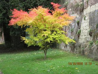 Click image for larger version

Name:	IMG_4166.jpg
Views:	0
Size:	493,6 KB
ID:	108387