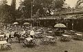 Click image for larger version

Name:	Stadsparkwijngaard.jpg
Views:	1421
Size:	93,8 KB
ID:	89365